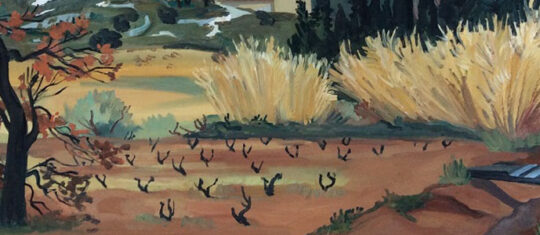 tableaux d'Yves Brayer